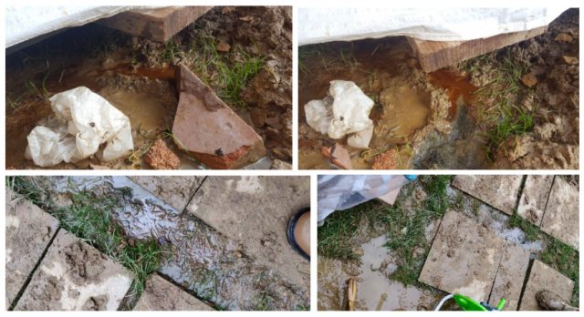 Standing Water coming up from Poorly installed Basic French Drain